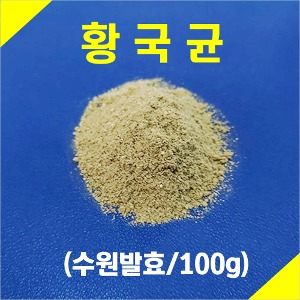황국(100g/수원발효/안전지퍼백포장)